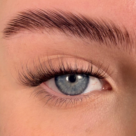 I.F.L.Y. in Cocoa Ganache Super Pre-Glued Lashes