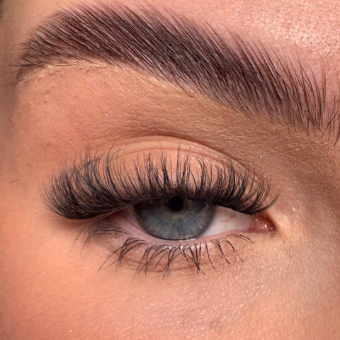 Hybrids Super Pre-Glued Lashes