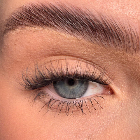XOXO Super Pre-Glued Lashes