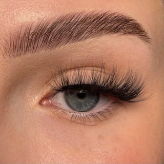 Trash Kitty Allsorts Half Lashes - Unicorn Cosmetics